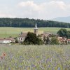 06_juin_09_VM